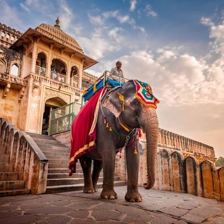 Elephant Village near Jaipur